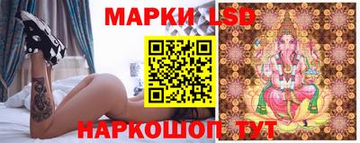 СК Новозыбков