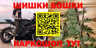 СК Новозыбков